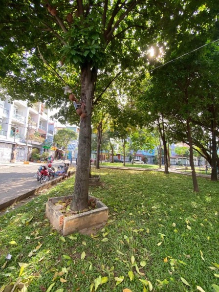 bất động sản toàn quốc