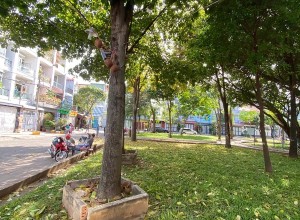 Bán Biệt Thự đường số 21a, Bình Tân khu Tên Lửa, 8x22.5m, 3 tấm, 21 tỷ, gần chợ câu da sà