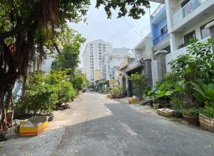 Bán - MTNB Trịnh Lỗi ❤️ - 4x21 (84) - 3 tầng - 10.9 tỷ