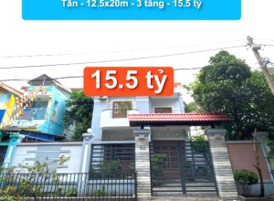 Bán nhà MTNB khu Bắc Lương Bèo , Q Bình Tân - 12.5x20m - 3 tầng - 15.5 tỷ