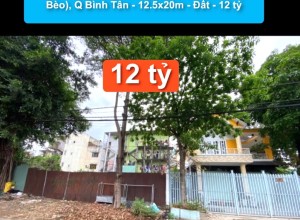 Bán nhà MTNB Đường số 3C (Bắc Lương Bèo), Q Bình Tân - 12.5x20m - Đất - 12 tỷ