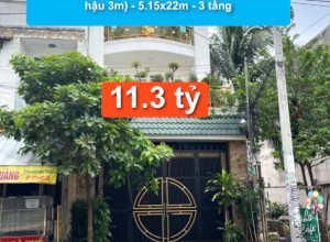 Hẻm KD 12m Lê Văn Quới, Q Bình Tân (Hẻm hậu 3m) - 5.15x22m - 3 tầng