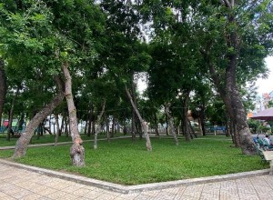 Căn góc 2 MT Đường Số 31A, Q Bình Tân (ngay Công Viên khu Tên Lửa) - 8x22 - 17.5 tỷ chốt